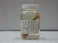 藏品(無齒鰺)的圖片